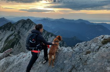 JA - Ich vertraue dir
