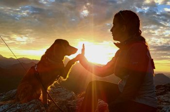 JA - Ich gebe dir Distanz