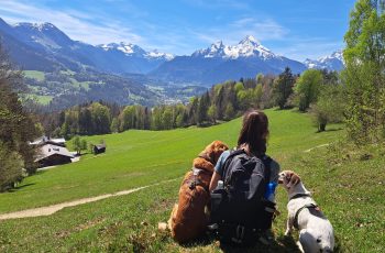 JA - Ich verstehe dich