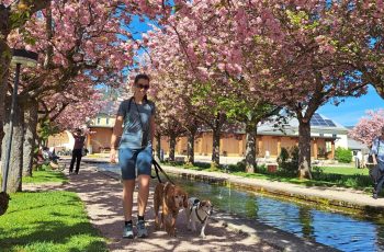 JA - Ich respektiere dich