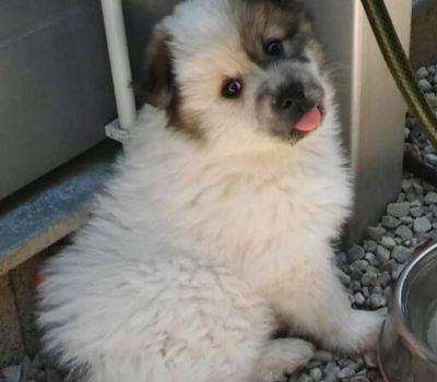 IMG-20260323-WA0011_2