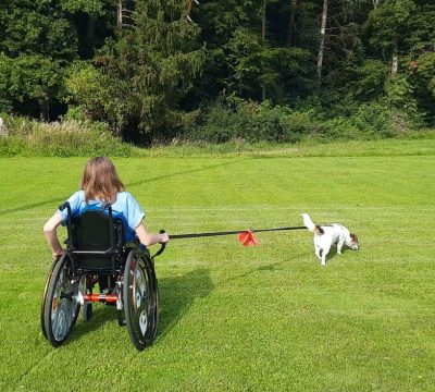 Screenshot 2026-03-15 201502_2