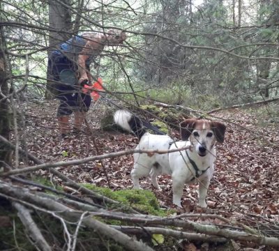 Screenshot 2026-03-15 201844_2