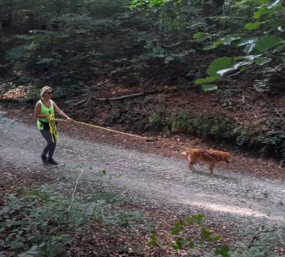 Screenshot 2026-03-15 202130_2