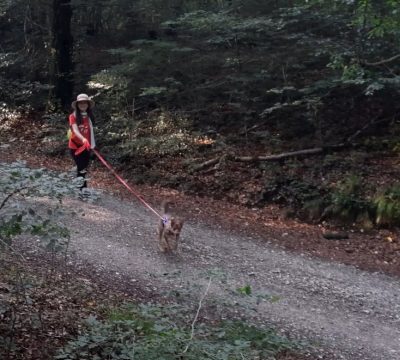 Screenshot 2026-03-15 202350_2