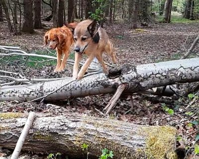 Screenshot 2026-03-23 170840_3