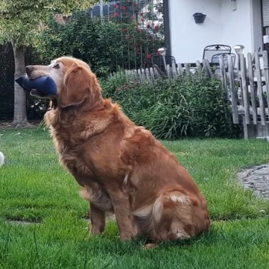 Screenshot 2026-03-23 171502_2