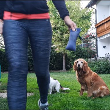 Screenshot 2026-03-23 171604_3