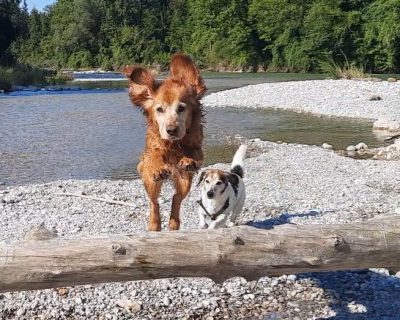 Screenshot 2026-03-23 171750_2